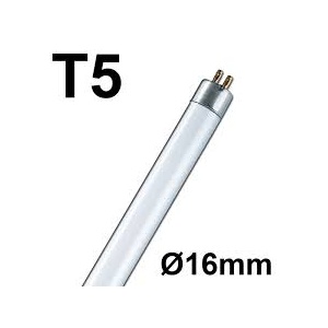 t5_16