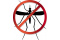 insectes